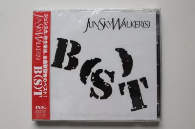 JUN SKY WALKER - B(S)T CD 2012